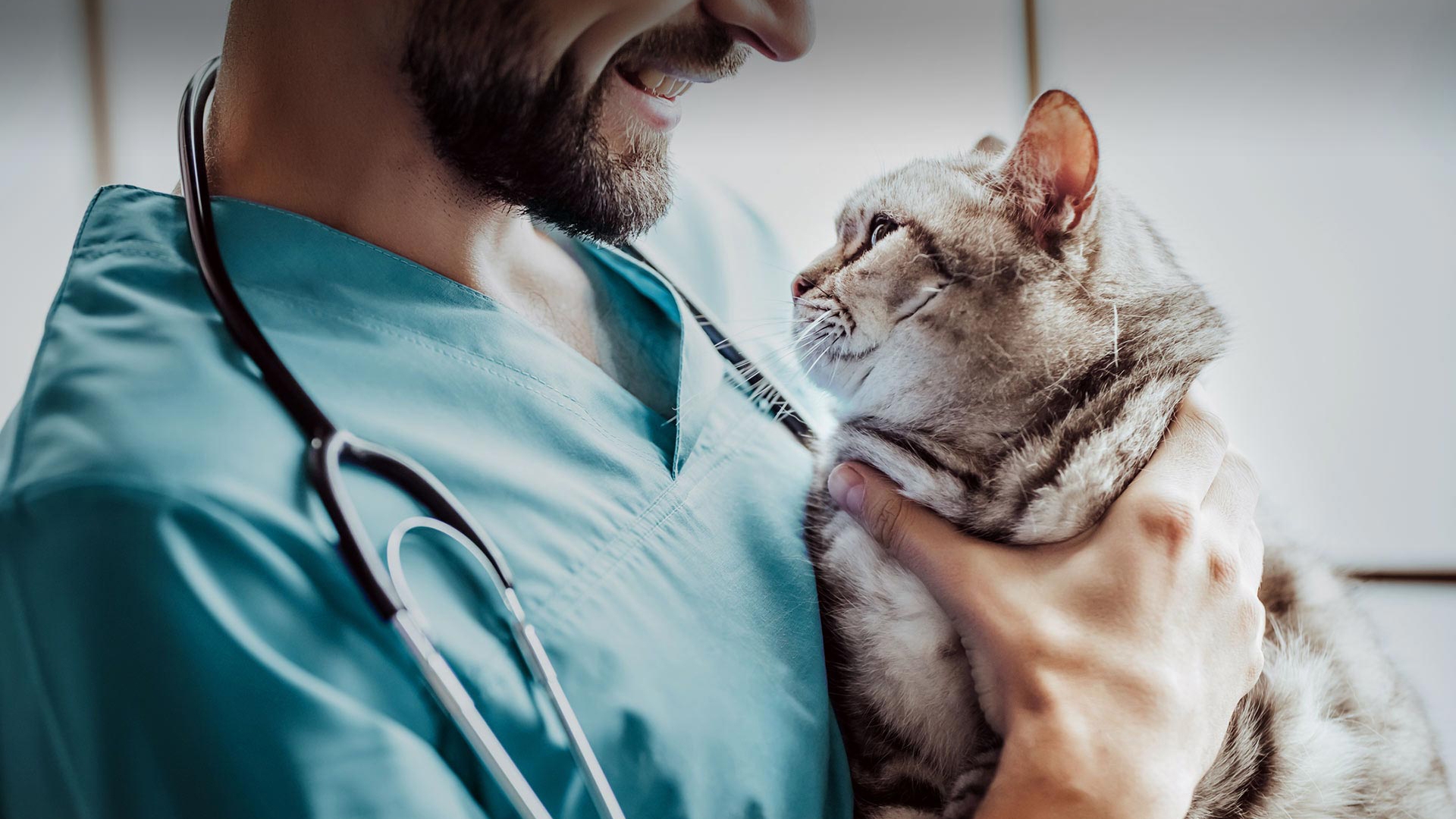 Halkapınar Veteriner